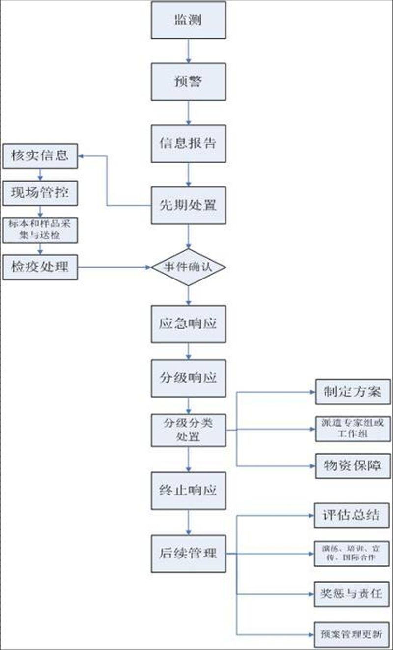 进出境重大植物疫情突发事件应急处置流程图